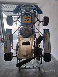 Go Kart 100 cc Rotax