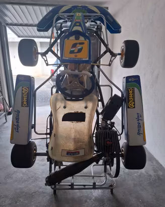 Go Kart 100 cc Rotax