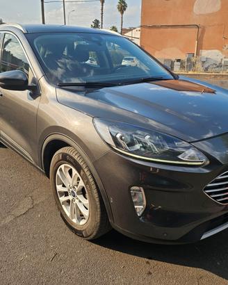 Ford Kuga 1.5 EcoBlue 120 CV 2WD Titanium