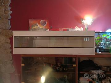Terrario Legno Bianco 120x58x35h cm