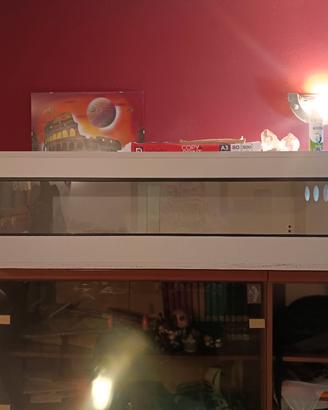 Terrario Legno Bianco 120x58x35h cm