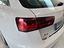 Immagine 21