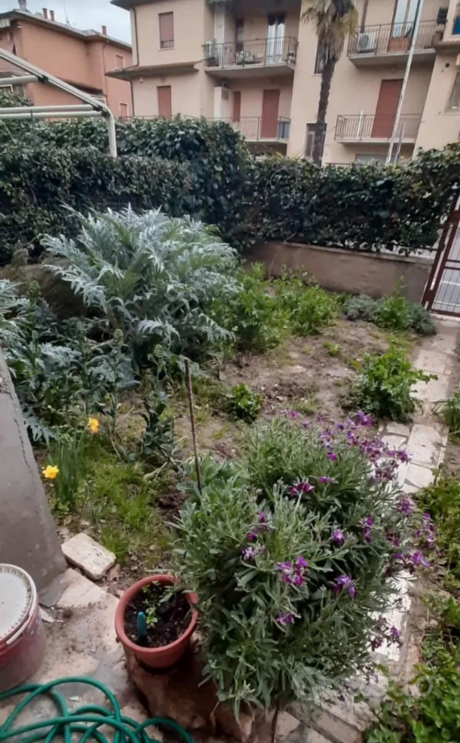 Apartment in Asciano, Il Piano - Altro
