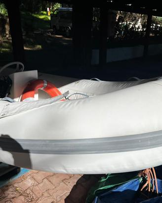 QUICKSILVER  420 - MOTORE MERCURY F20 EL