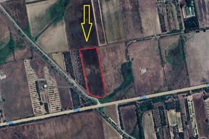 Terreno irriguo a San Gavino - 16.000 mq