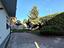 Immagine 20