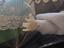 Immagine 6