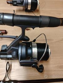 Canne per carp fishing