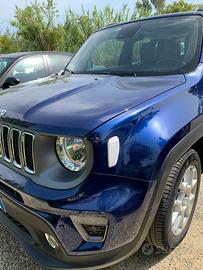 JEEP Renegade - 2019