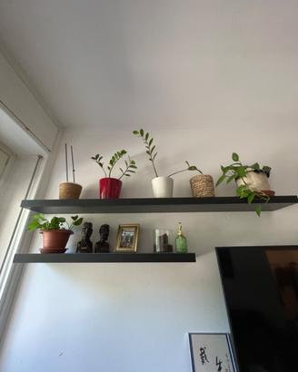 Shelves