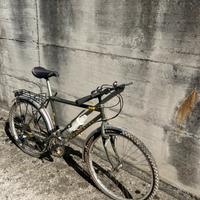 Airone Rampichino Country