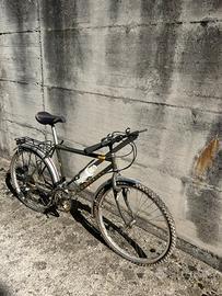 Airone Rampichino Country