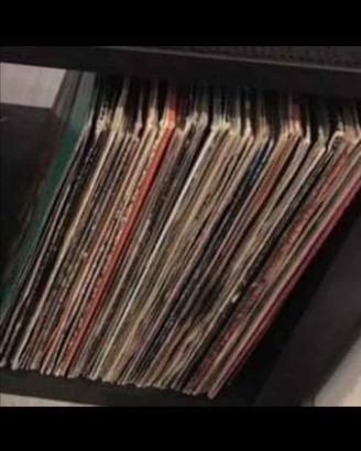 Lp 33