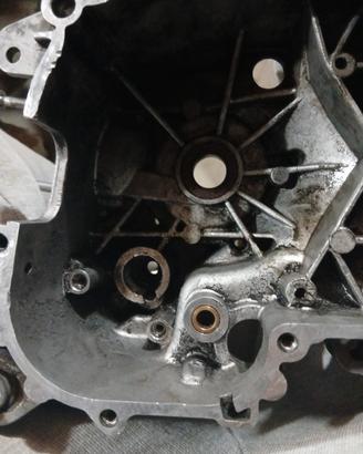 carter piaggio a liquido 