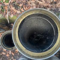 Canna fumaria coibentata