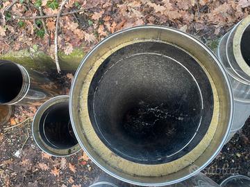 Canna fumaria coibentata