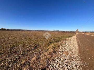 TER. AGRICOLO A CAPENA