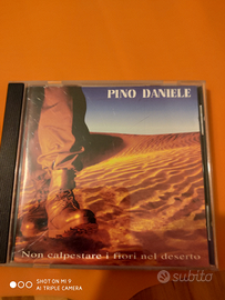 Pino Daniele- Non calpestare i fiori nel deserto