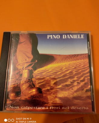 Pino Daniele- Non calpestare i fiori nel deserto