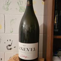 bottiglia vuota mathusalem magnum 