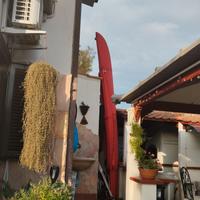 Canoa nova in resina