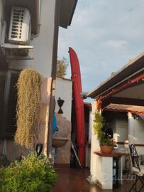 Canoa nova in resina