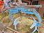 Immagine 4
