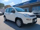 fiat-panda-1-0-benzina-hybrid-70cv-2023