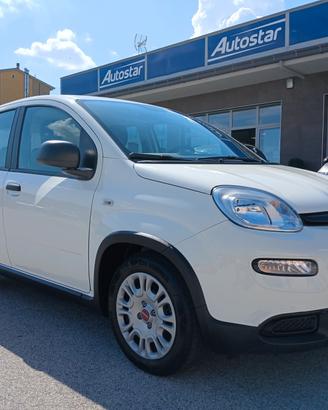 FIAT PANDA 1.0 BENZINA HYBRID 70CV 2023