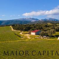 Berchidda | Azienda vitivinicola