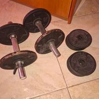 Pesi Domyos 16kg con manubri