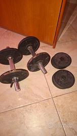 Pesi Domyos 16kg con manubri