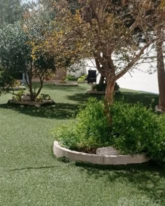 Casa Appartamento con giardino