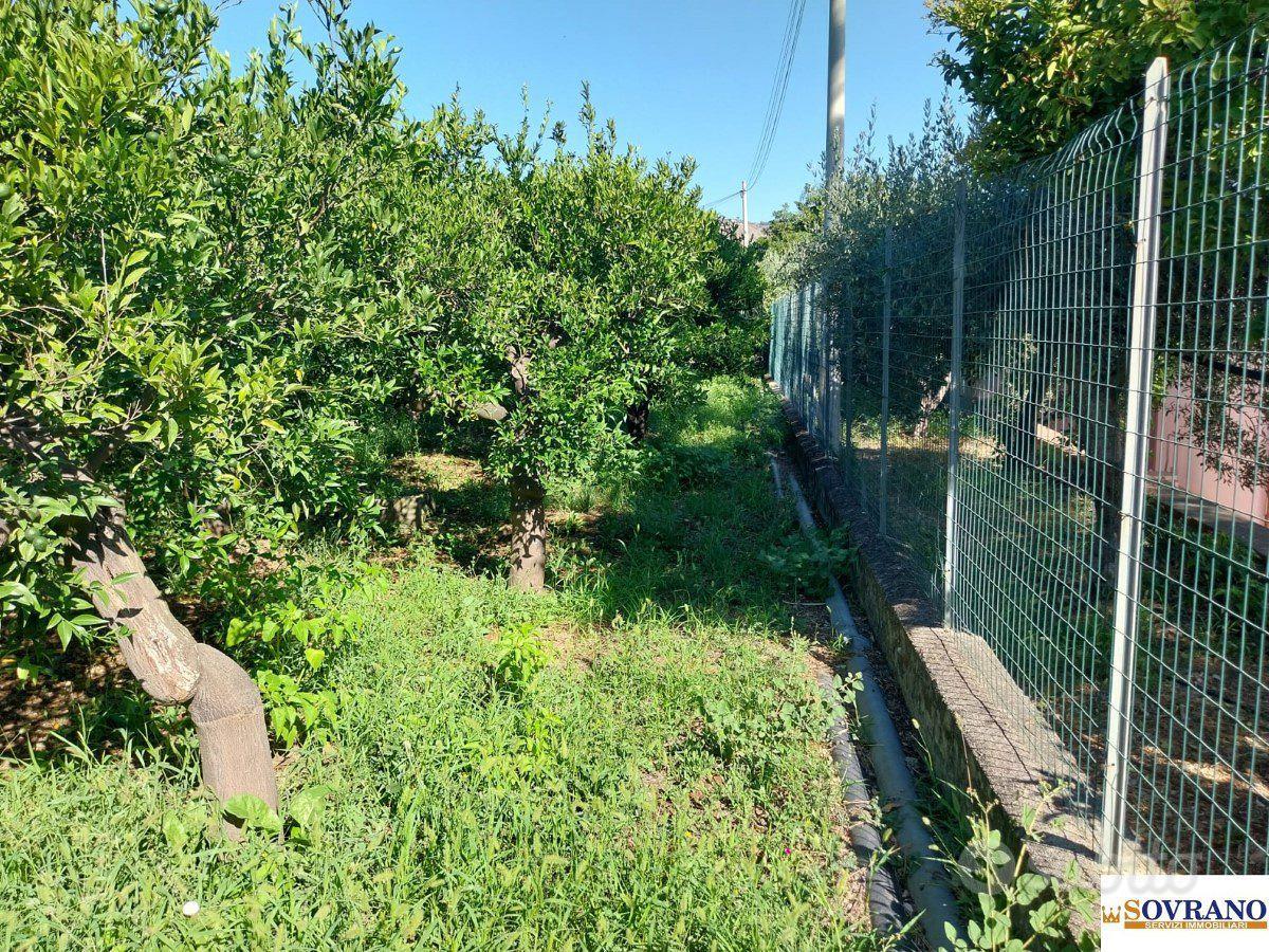 VILLAGRAZIA DI PALERMO: TERRENO MQ 1.600 - Vista 2