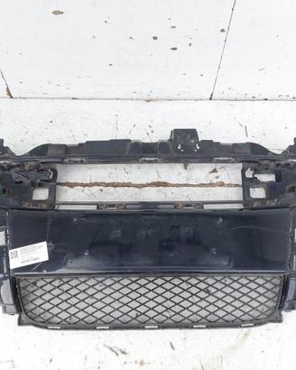 A4516270102 PARAURTI ANTERIORE CENTRALE SMART FORT