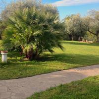 Elegante villino in campagna romana (nord)