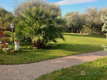 Elegante villino in campagna romana (nord)