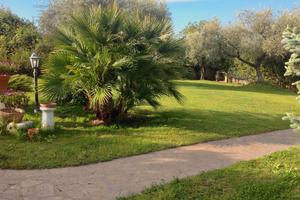 Elegante villino in campagna romana (nord)