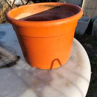 Vasi plastica professionali