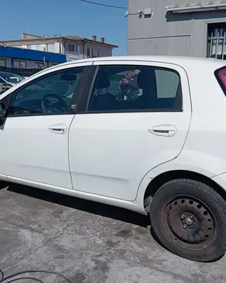 FIAT PUNTO EVO anno 2011-cilindrata 1368-KW 57-ben