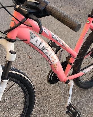 bicicletta da donna