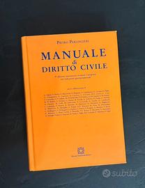 Manuale di diritto civile - Perlingieri
