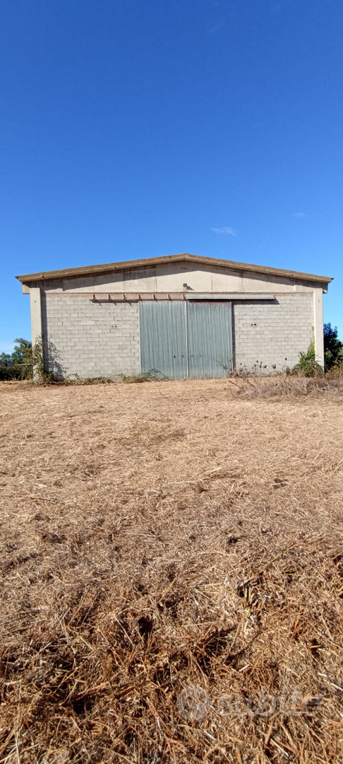Terreno agricolo - Vista 3