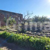 Terreno Agricolo San Pier Niceto