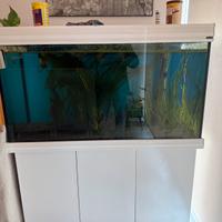 Acquario 300 litri completo