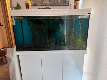 Acquario 300 litri completo