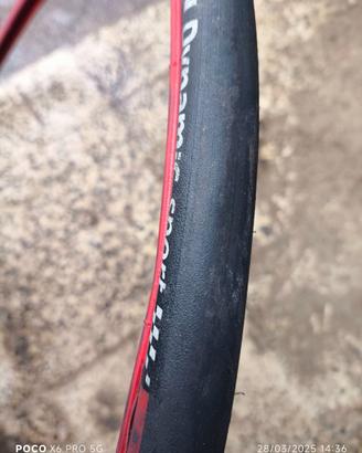 Copertoncini Michelin  700x23c