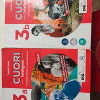 Cuori intelligenti 3a 3b