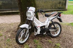 Malaguti motron gl4 