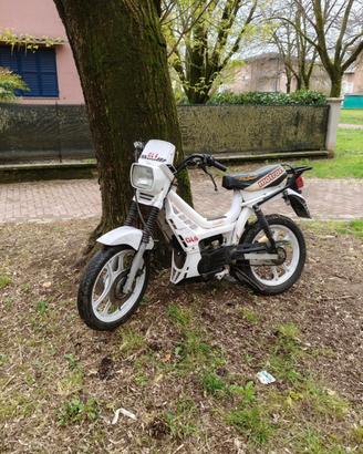 Malaguti motron gl4 
